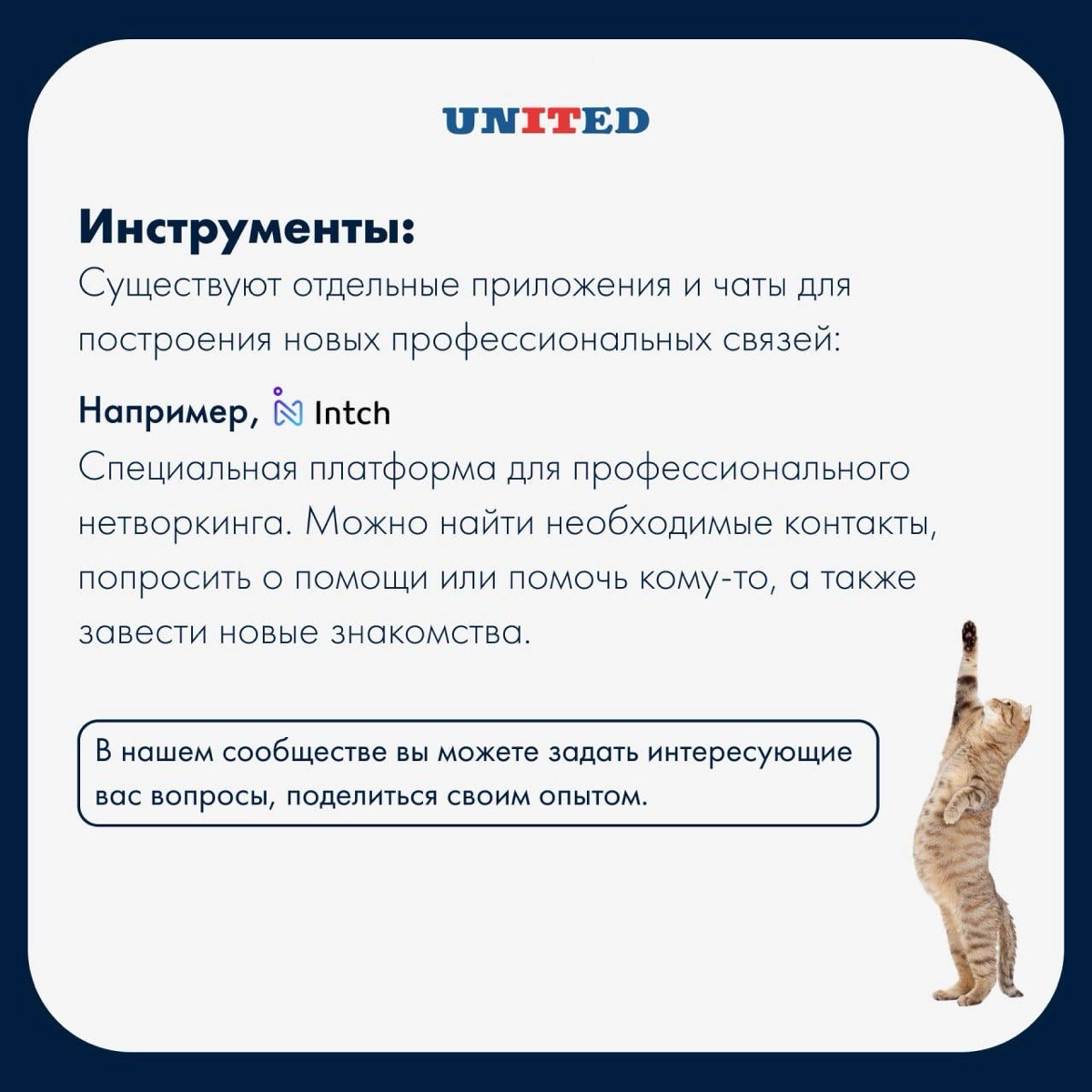 Нетворкинг в мире HR | Сетка — новая социальная сеть от hh.ru