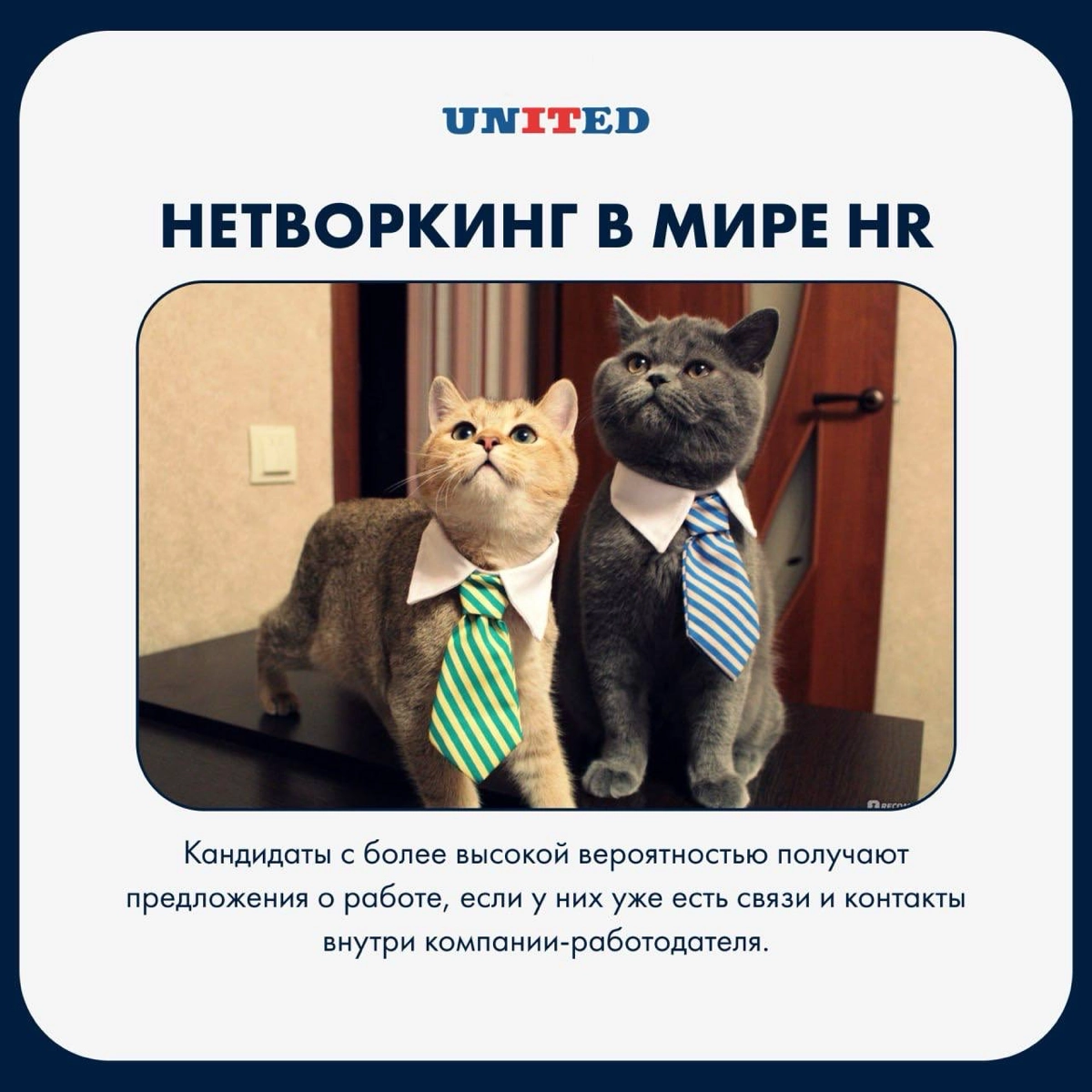 Нетворкинг в мире HR | Сетка — новая социальная сеть от hh.ru