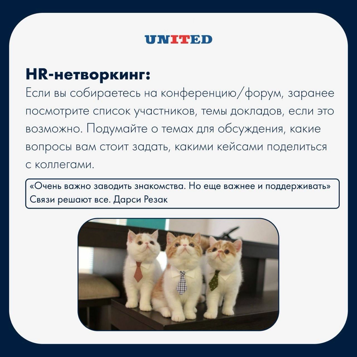 Нетворкинг в мире HR | Сетка — новая социальная сеть от hh.ru