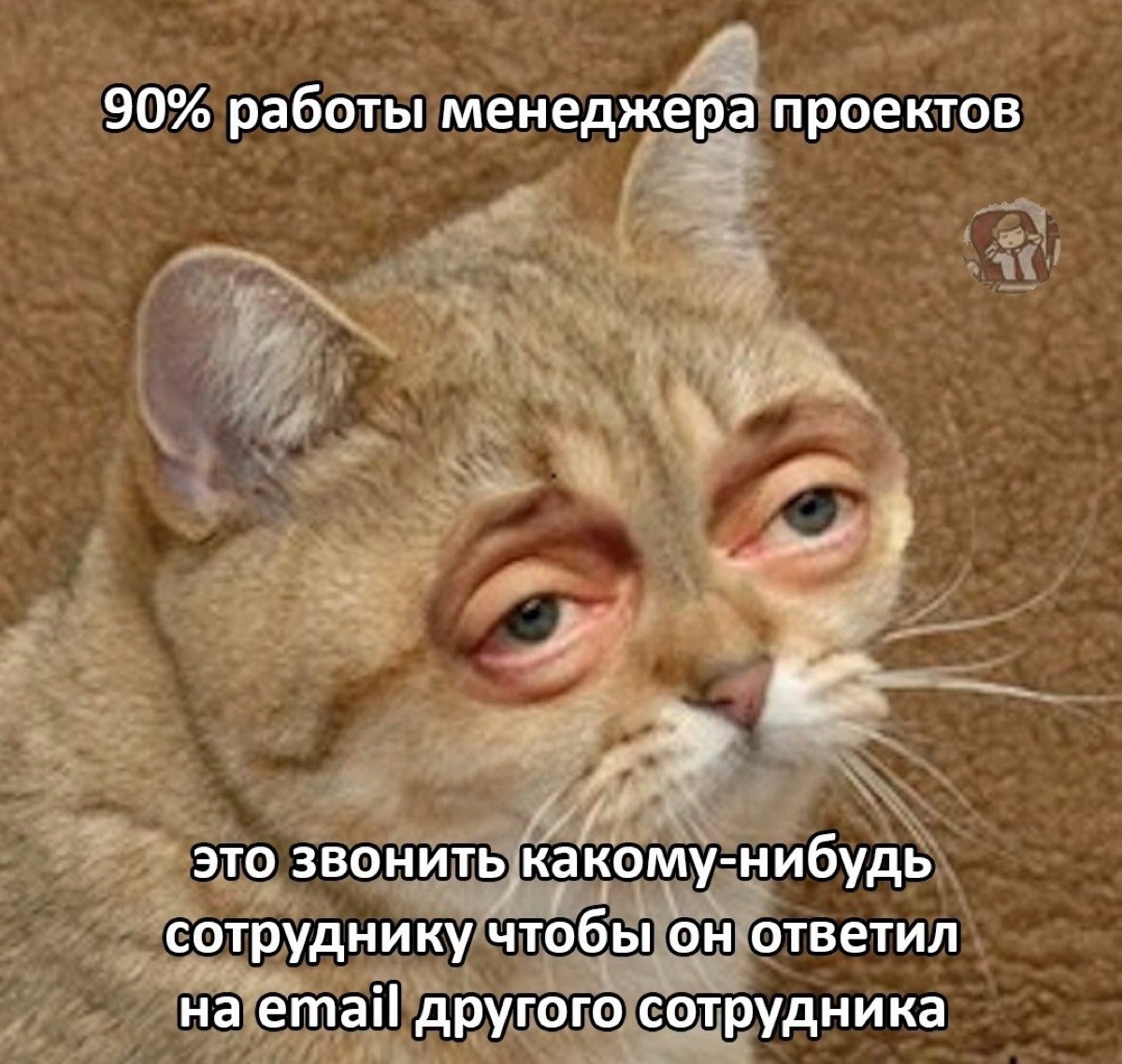 ‼️ Мне нужны проджекты | Сетка — новая социальная сеть от hh.ru