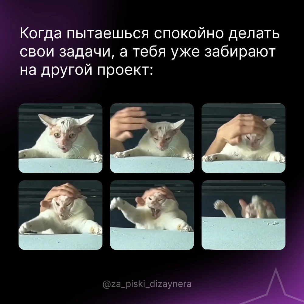 Сетка — новая социальная сеть от hh.ru