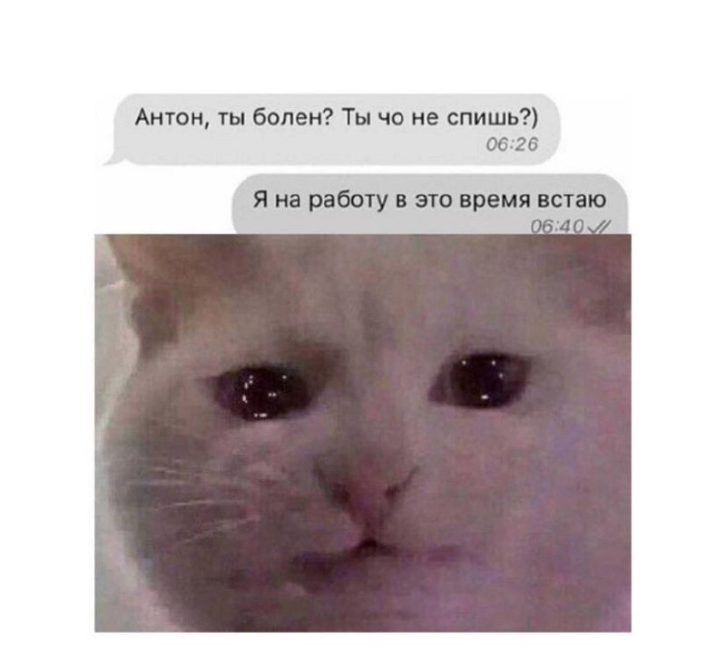 Настраиваемся на выходные вместе 😉 | Сетка — новая социальная сеть от hh.ru