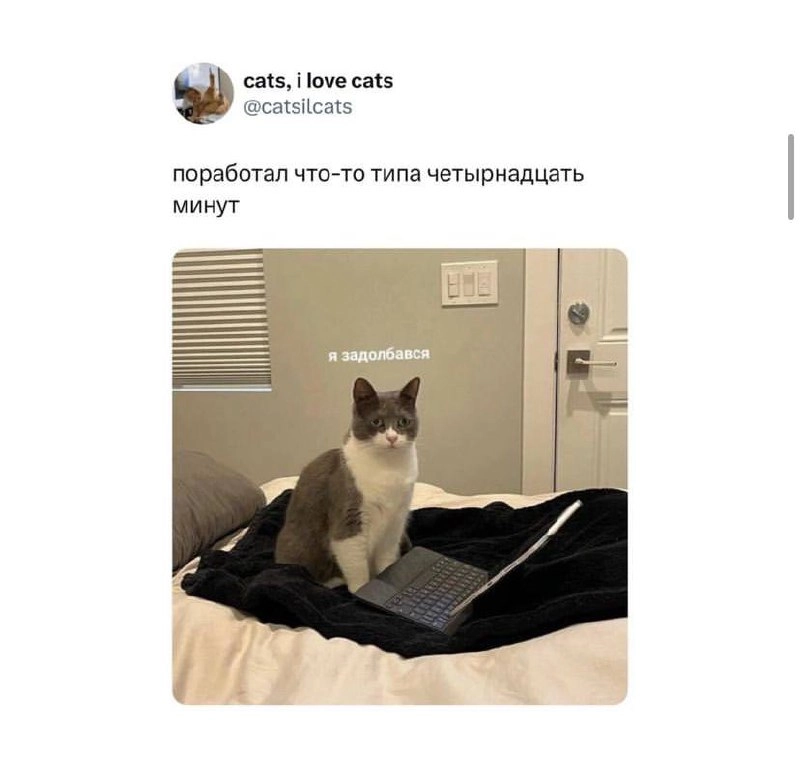 Настраиваемся на выходные вместе 😉 | Сетка — новая социальная сеть от hh.ru
