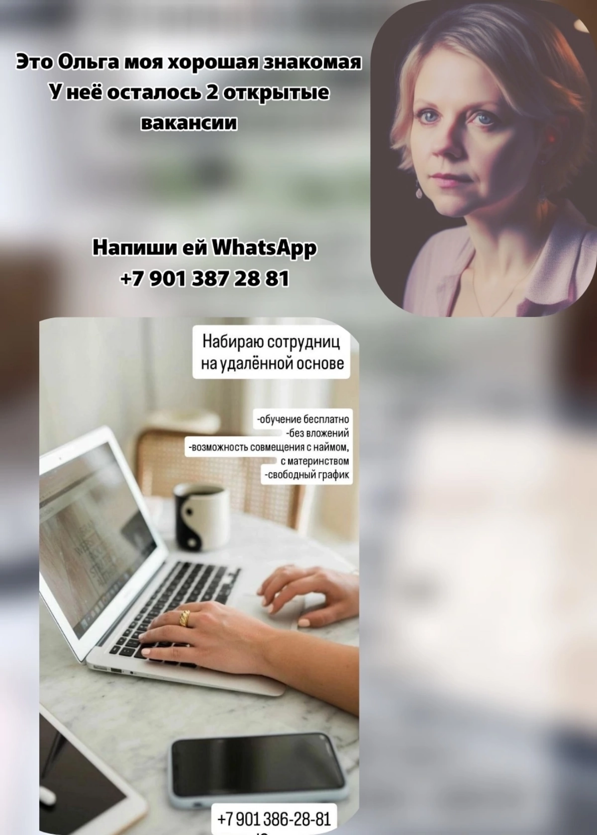 Сетка — новая социальная сеть от hh.ru