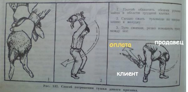 Коротко о современных продажах - каких только заходов нет | Сетка — новая социальная сеть от hh.ru