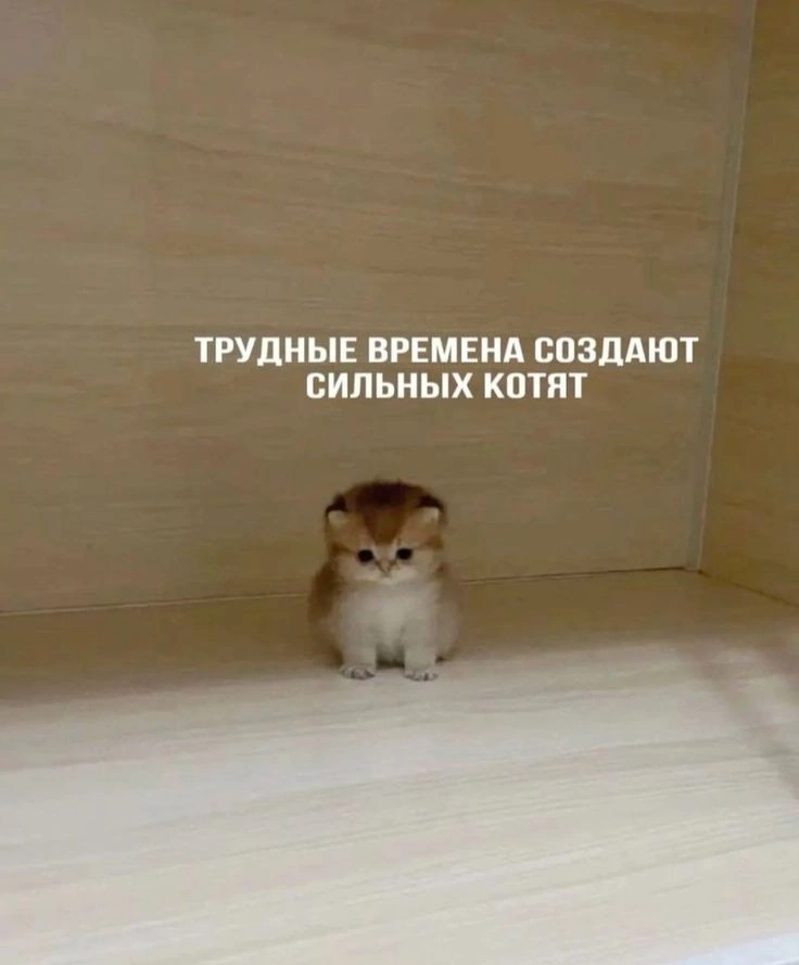 Ребята, вы знаете, что вы просто супер? | Сетка — новая социальная сеть от hh.ru