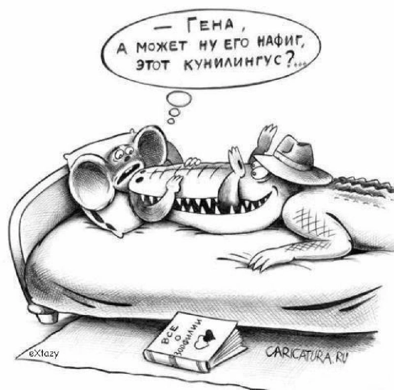 Сетка — социальная сеть от hh.ru