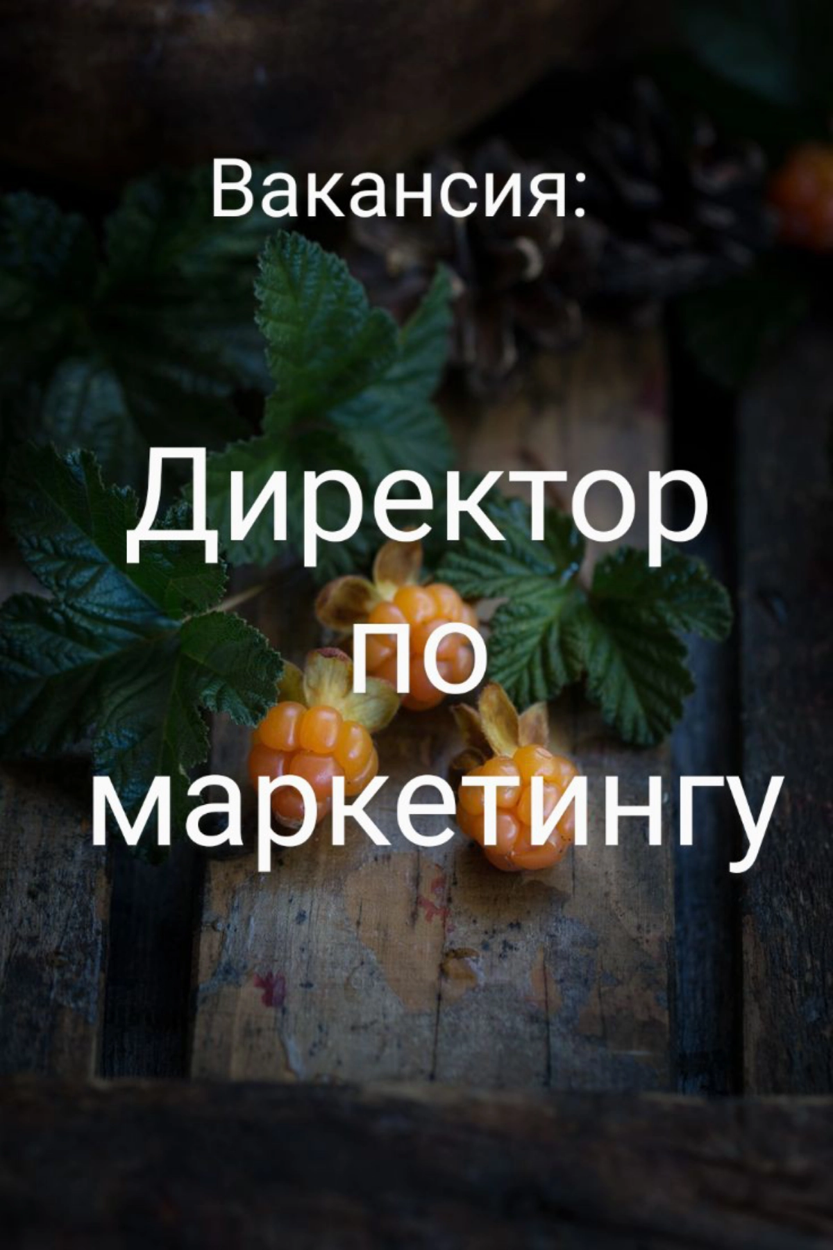 #ВАКАНСИЯ: директор по маркетингу
КОМПАНИЯ: Бренд домашнего декора Moroshka
 | Сетка — новая социальная сеть от hh.ru