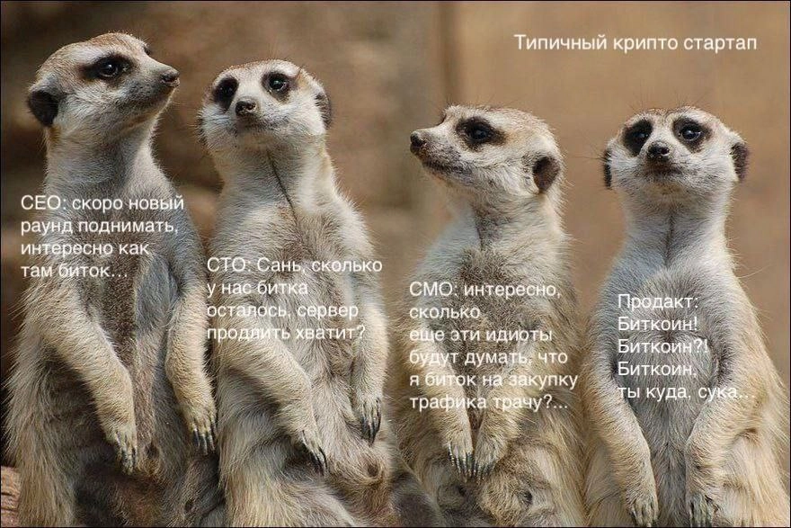 Тадааам! Результаты конкурса айтишников-юмористов!
Напомню, в условиях было собрать 3+ лайков на сообщении, до 5 человек | Сетка — новая социальная сеть от hh.ru