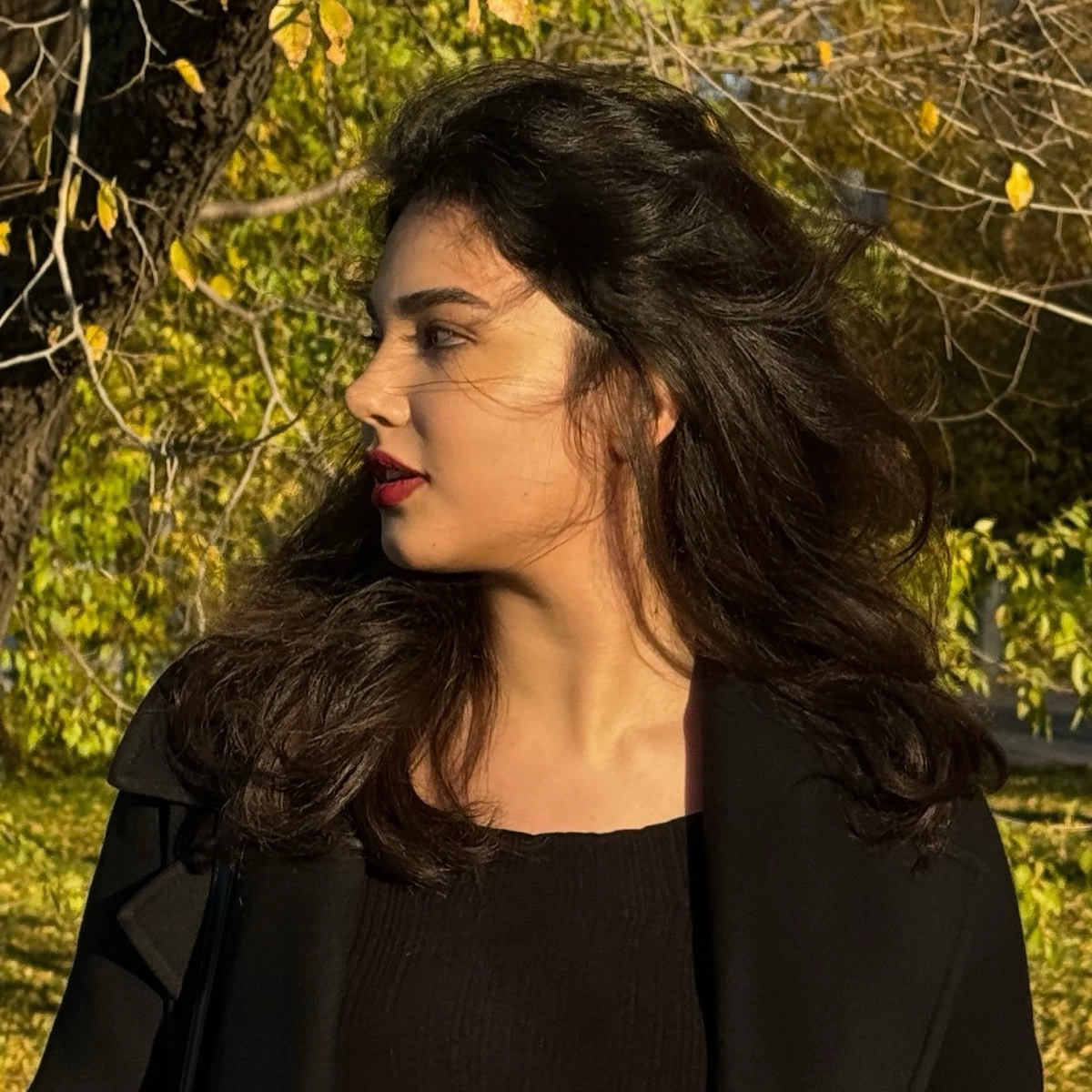 profile avatar
