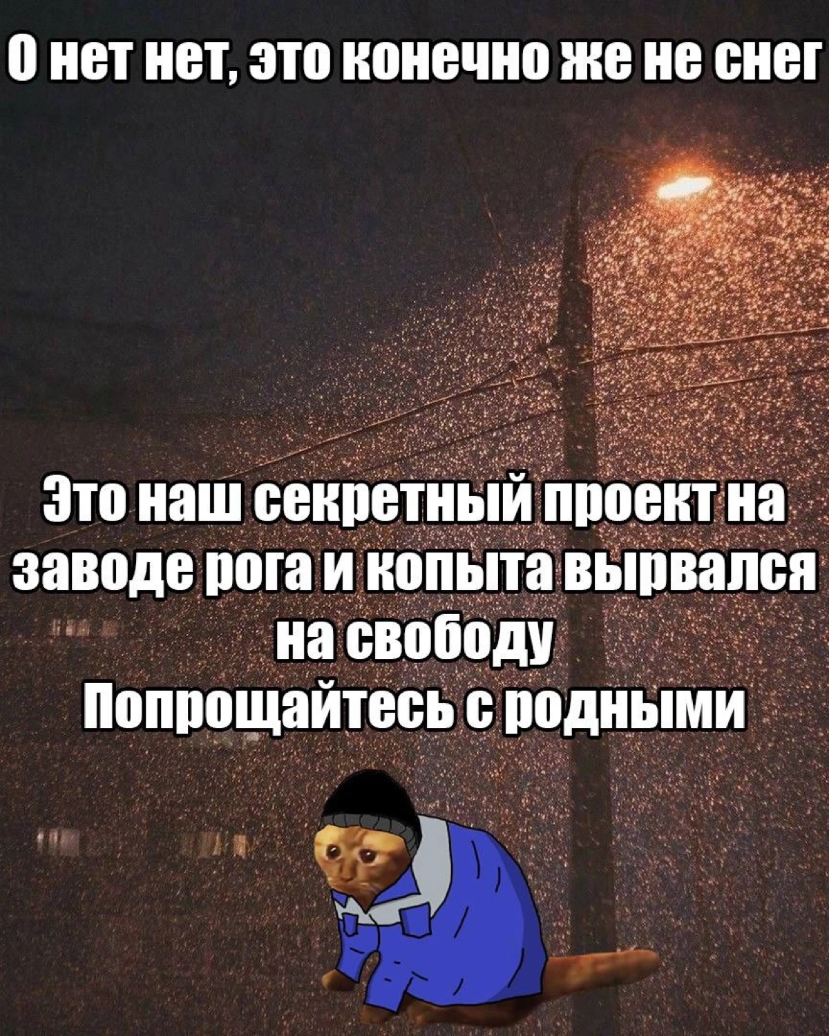 Видели мемы про заводчан в Сетке? | Сетка — новая социальная сеть от hh.ru