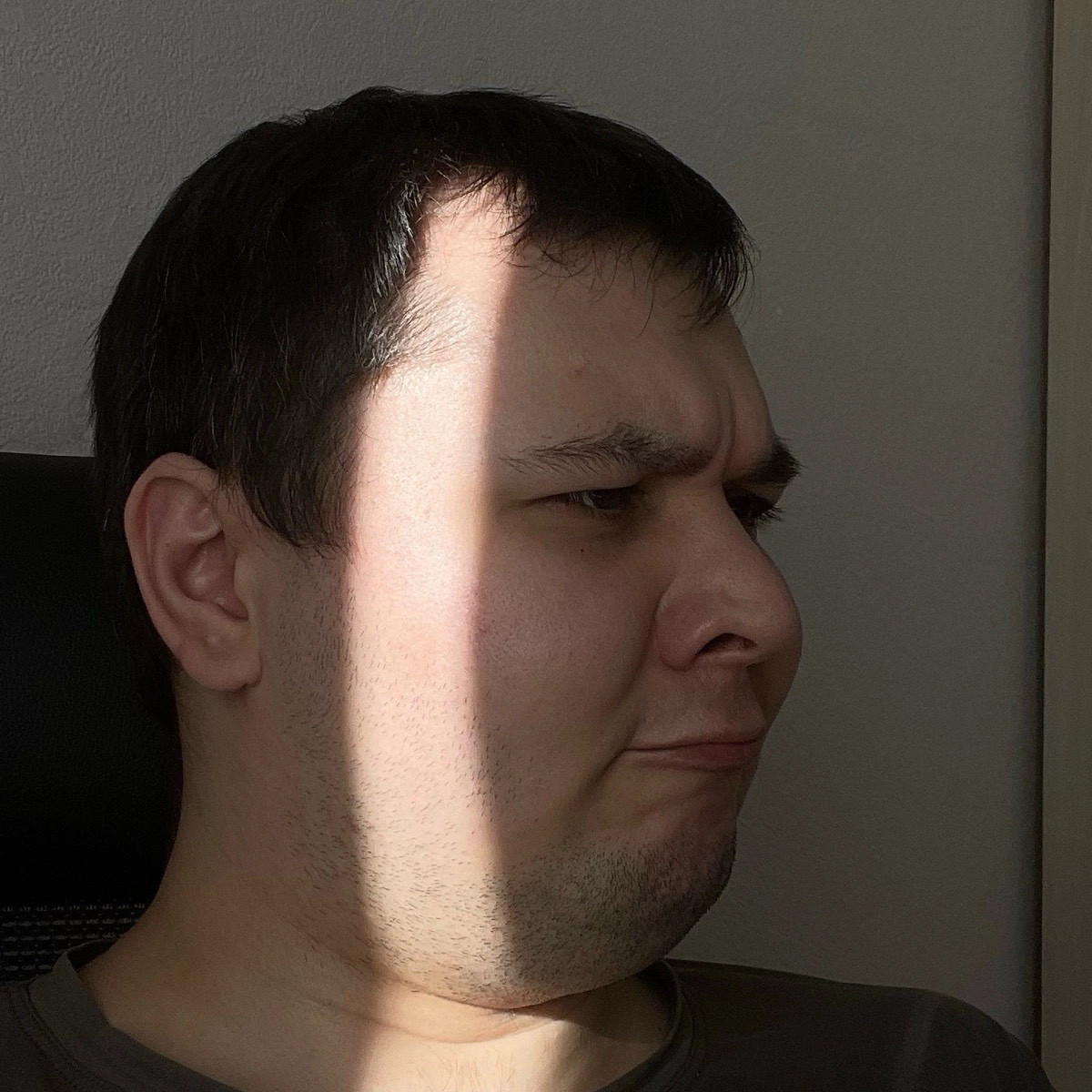 profile avatar