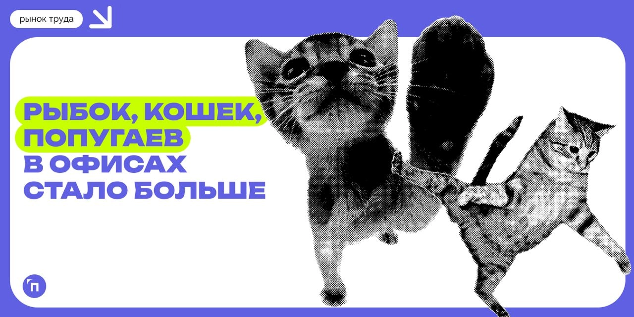 🐠 Рыбок, кошек, попугаев в офисах стало больше
В офисе каждой пятой компании живут рыбки, кошки и другие домашние животные. Каждый девятый работодатель заводит их целенаправленно | Сетка — новая социальная сеть от hh.ru