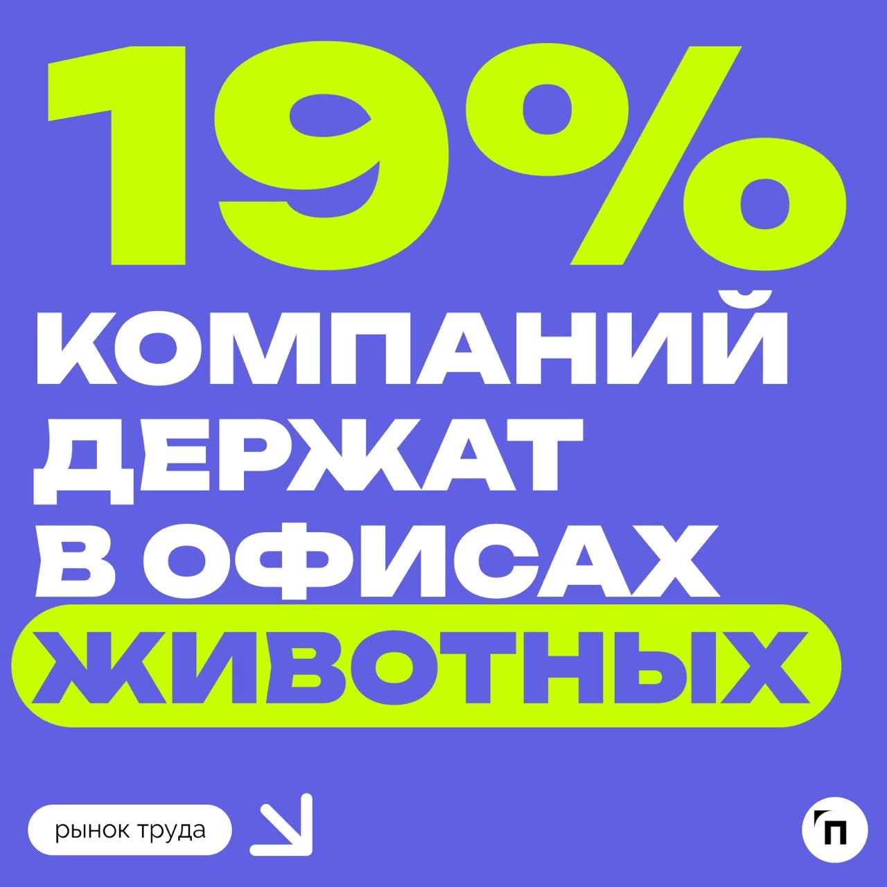 🐠 Рыбок, кошек, попугаев в офисах стало больше
В офисе каждой пятой компании живут рыбки, кошки и другие домашние животные. Каждый девятый работодатель заводит их целенаправленно | Сетка — новая социальная сеть от hh.ru