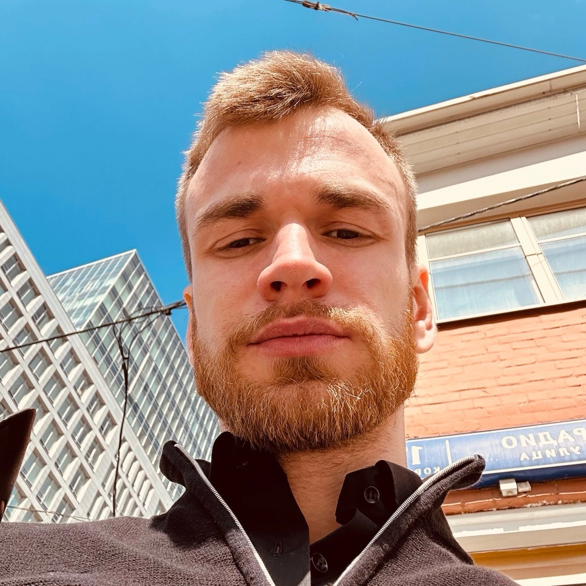 profile avatar