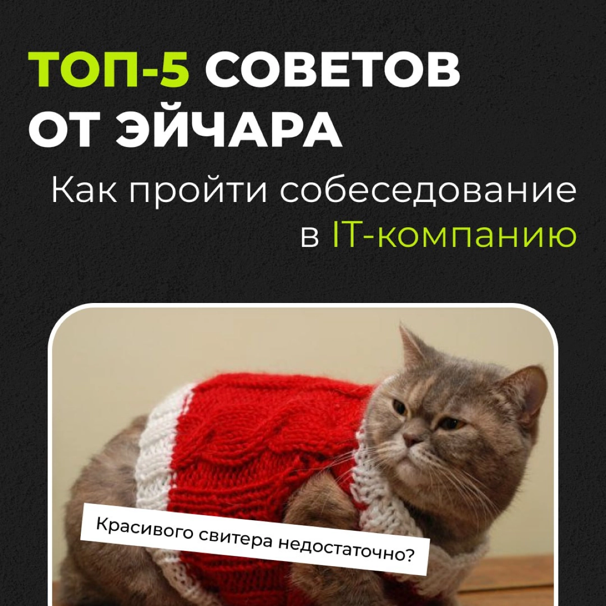 Как успешно пройти собеседование в IT? | Сетка — новая социальная сеть от hh.ru