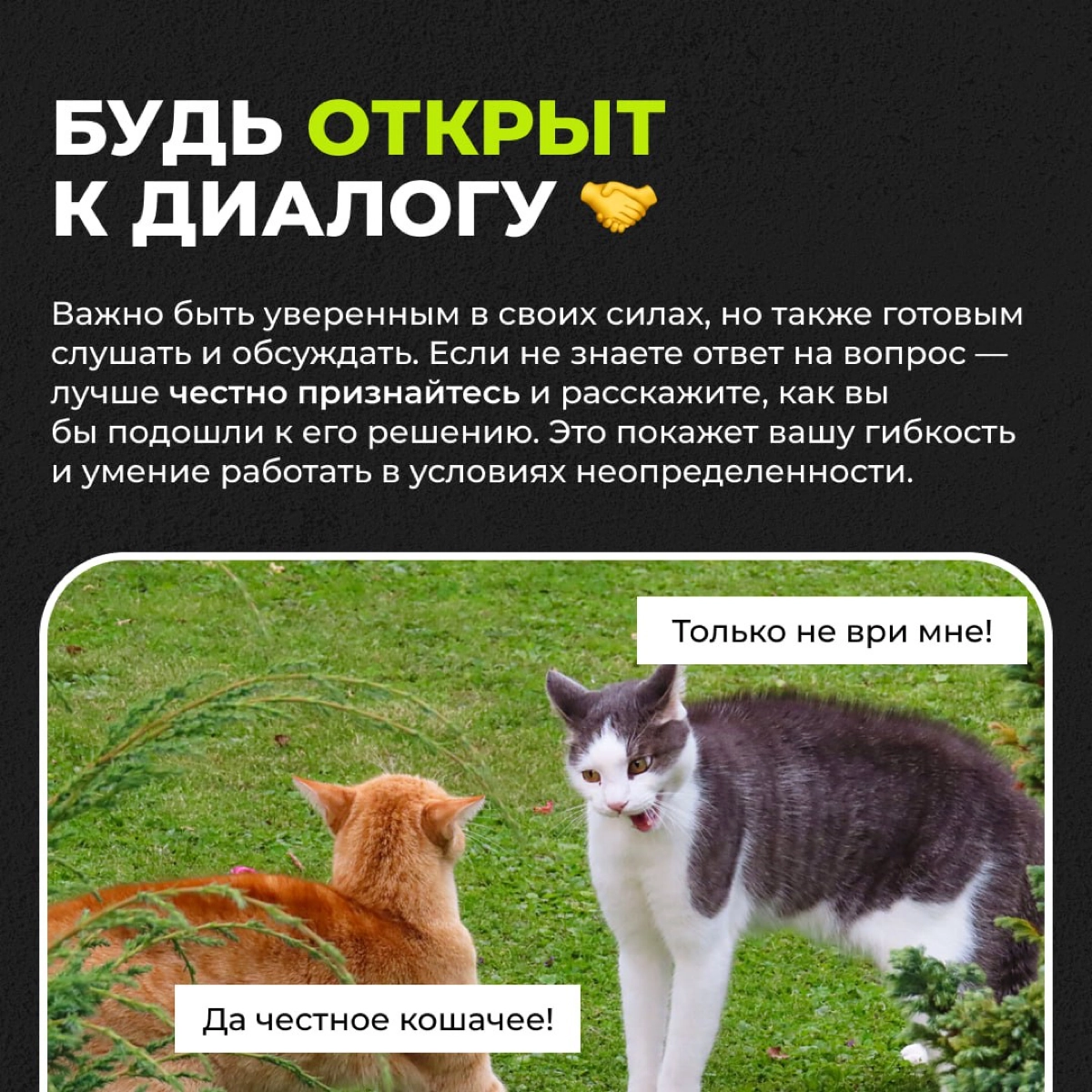 Как успешно пройти собеседование в IT? | Сетка — новая социальная сеть от hh.ru