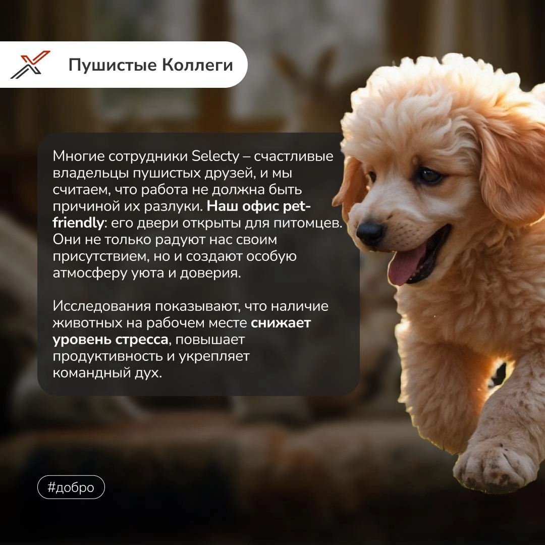 В современном бизнесе важно не только бить рекорды, но и приносить пользу окружающему миру!🌏  
В Selecty мы уверены, что добрые дела могут творить чудеса | Сетка — новая социальная сеть от hh.ru