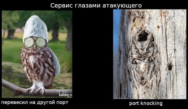 Практические варианты использования port knocking
https://habr.com/ru/articles/855536/ | Сетка — новая социальная сеть от hh.ru