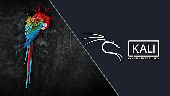 Kali Linux и Parrot OS
https://habr.com/ru/articles/858318/ | Сетка — новая социальная сеть от hh.ru