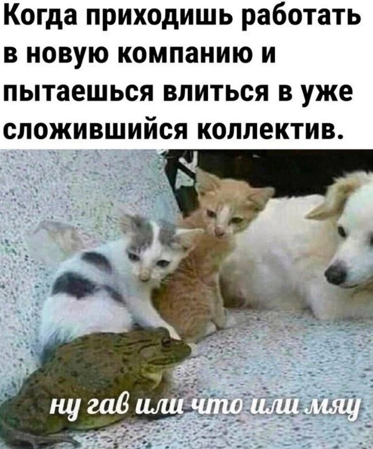#пятничное | Сетка — новая социальная сеть от hh.ru