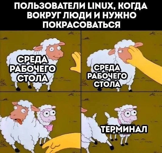 🚀@itaxaxa | Сетка — новая социальная сеть от hh.ru