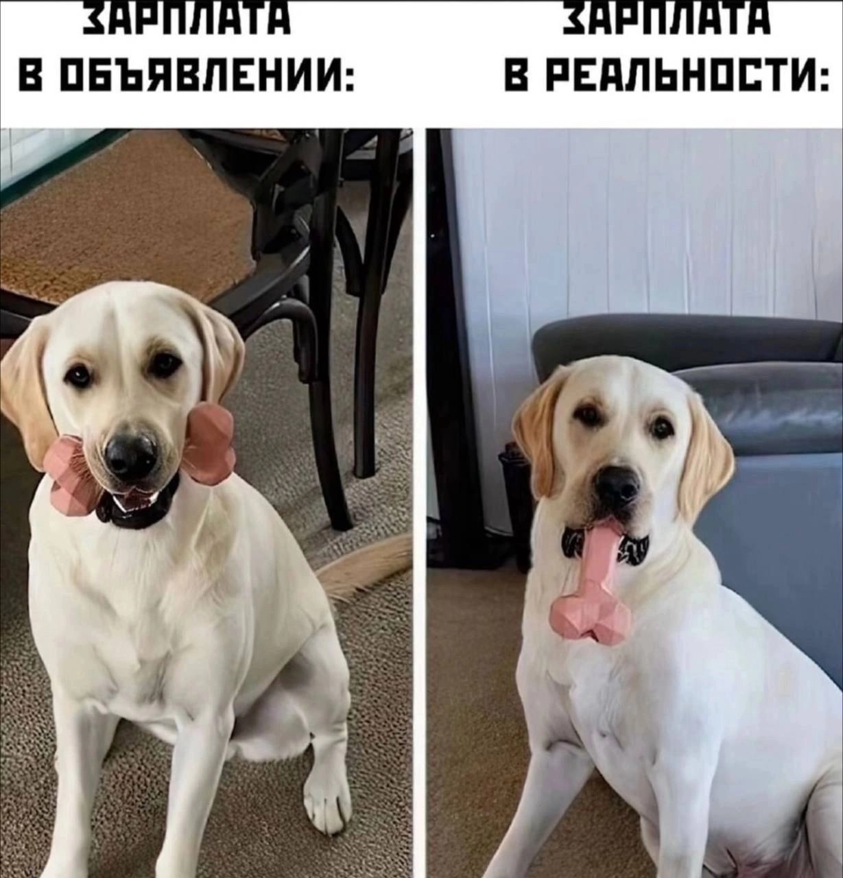 Сетка — социальная сеть от hh.ru