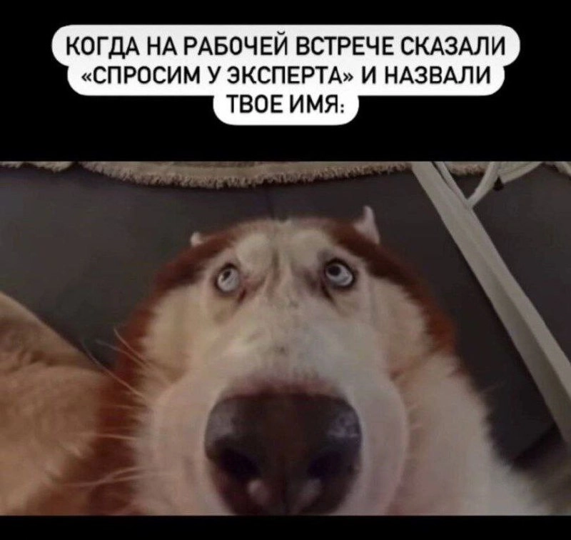 Сетка — новая социальная сеть от hh.ru