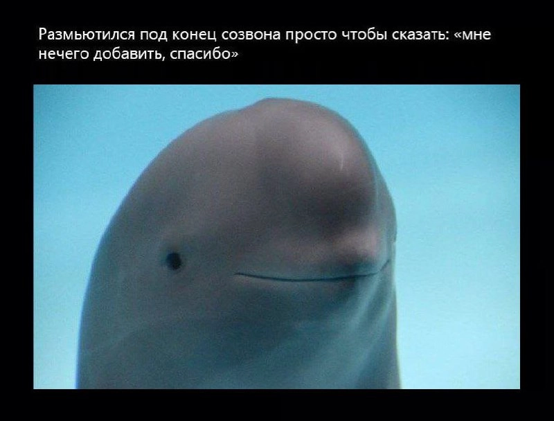 Продуктивно побеседовали
🚀@itaxaxa | Сетка — новая социальная сеть от hh.ru