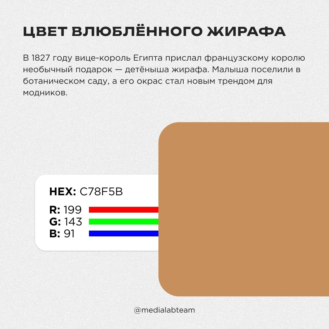 🎨 Влюбленная жаба в шапке Деда Мороза наткнулась на шокированных звёзд на берегу красного моря. Нет, мы не ошиблись чатом, просто хотим рассказать тебе о необычных названиях цветов!
@medialabteam 🤍 | Сетка — новая социальная сеть от hh.ru