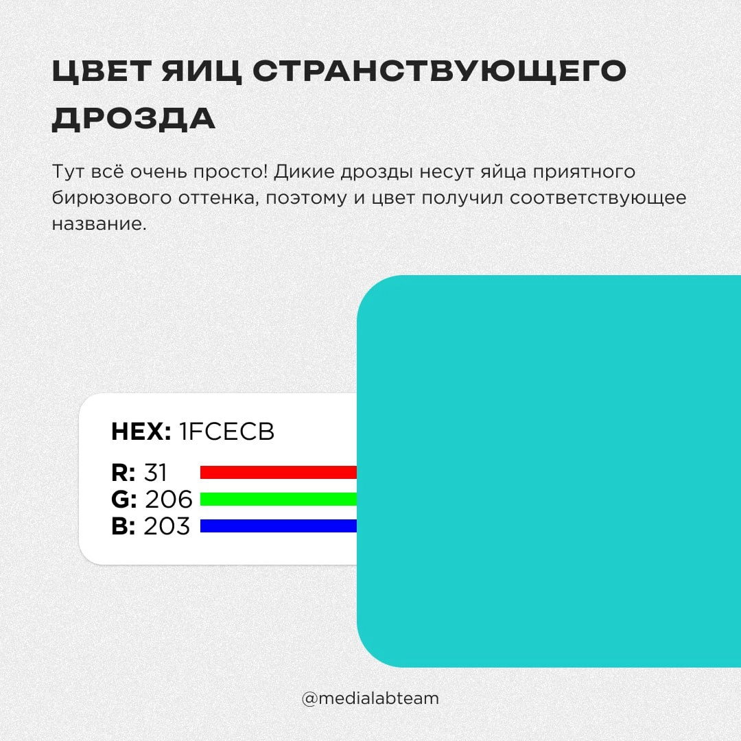 🎨 Влюбленная жаба в шапке Деда Мороза наткнулась на шокированных звёзд на берегу красного моря. Нет, мы не ошиблись чатом, просто хотим рассказать тебе о необычных названиях цветов!
@medialabteam 🤍 | Сетка — новая социальная сеть от hh.ru