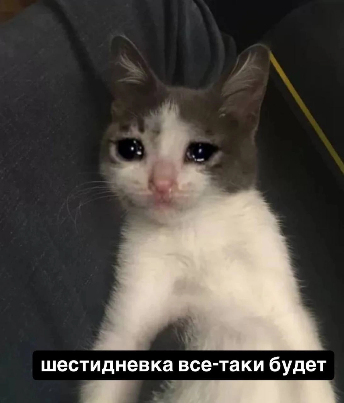 Готовимся к шестидневке перед Новым годом: чиновники решили, что 28 декабря все-таки будет рабочим. Кстати, его даже не сократят | Сетка — новая социальная сеть от hh.ru