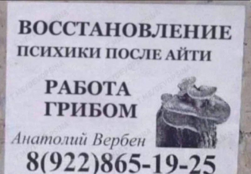 Звоним?
IT АНАЛитика | Сетка — новая социальная сеть от hh.ru