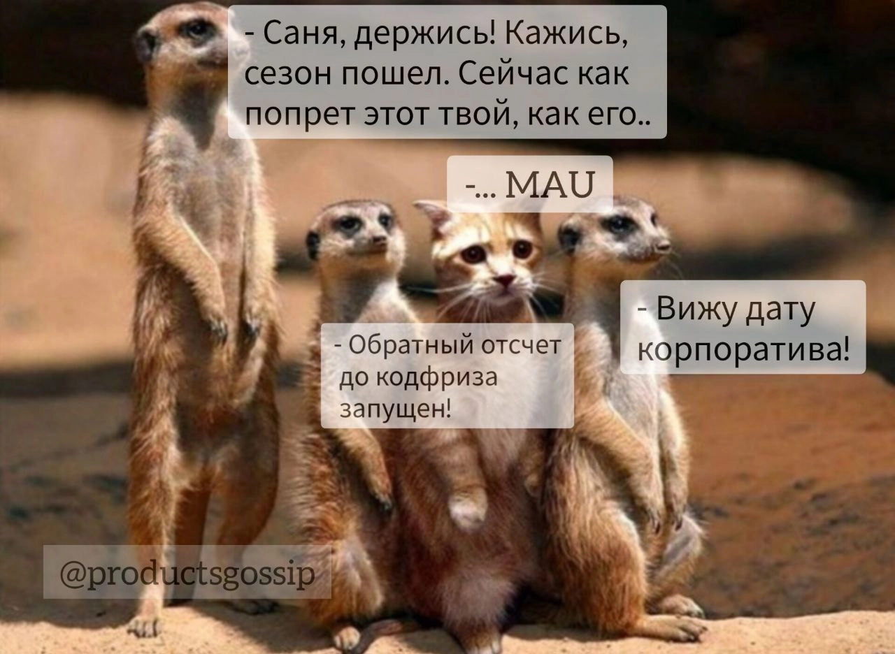 Если посчитать, то осталось всего 5 недель.  
С пятницей!  
Таня, [ex-B2B 👩‍💻]
@productsgossip | Сетка — новая социальная сеть от hh.ru