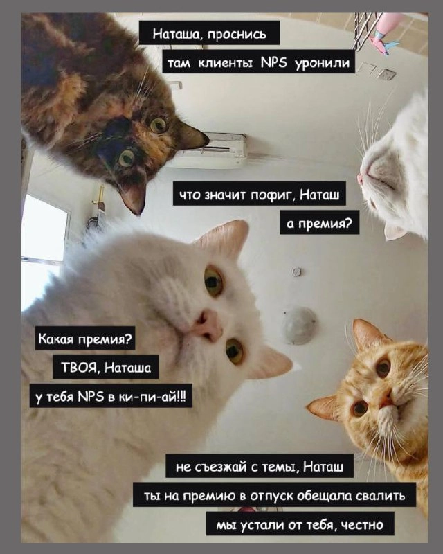 Сегодня пятница, а это значит пора обмениваться мемами! На прошлой неделе самый популярный мем был от Марии он👆
Спасибо за активность!)
Публикуй мемы в комментариях и голосуй за другие любой реакцией | Сетка — новая социальная сеть от hh.ru