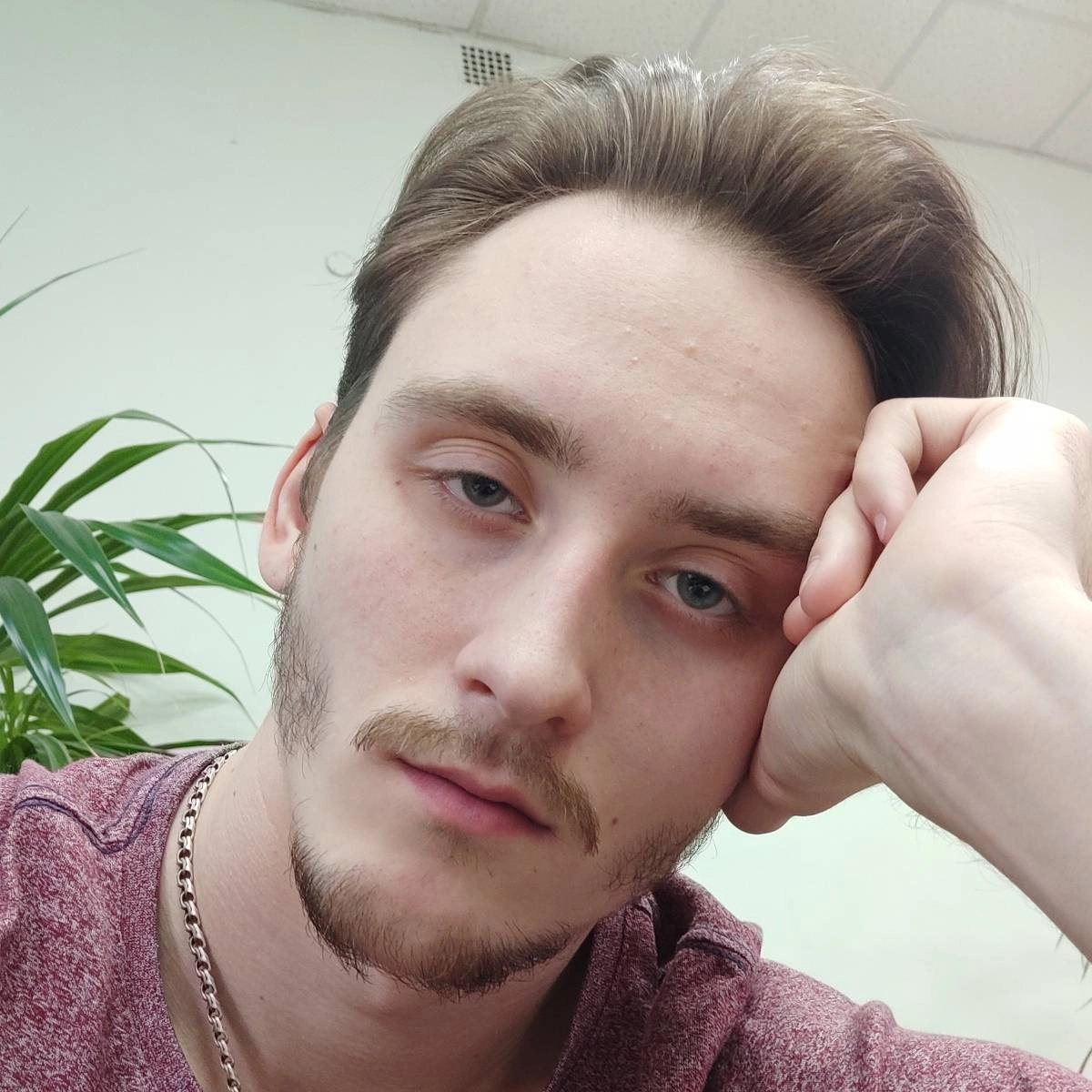 profile avatar