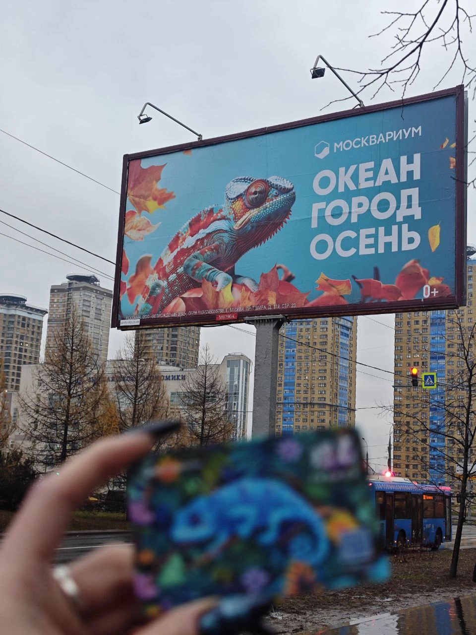 Москвариум проводит рекламную кампанию с популярными обитателями океанариума: капибарой, хамелеоном и аксолотлем | Сетка — новая социальная сеть от hh.ru