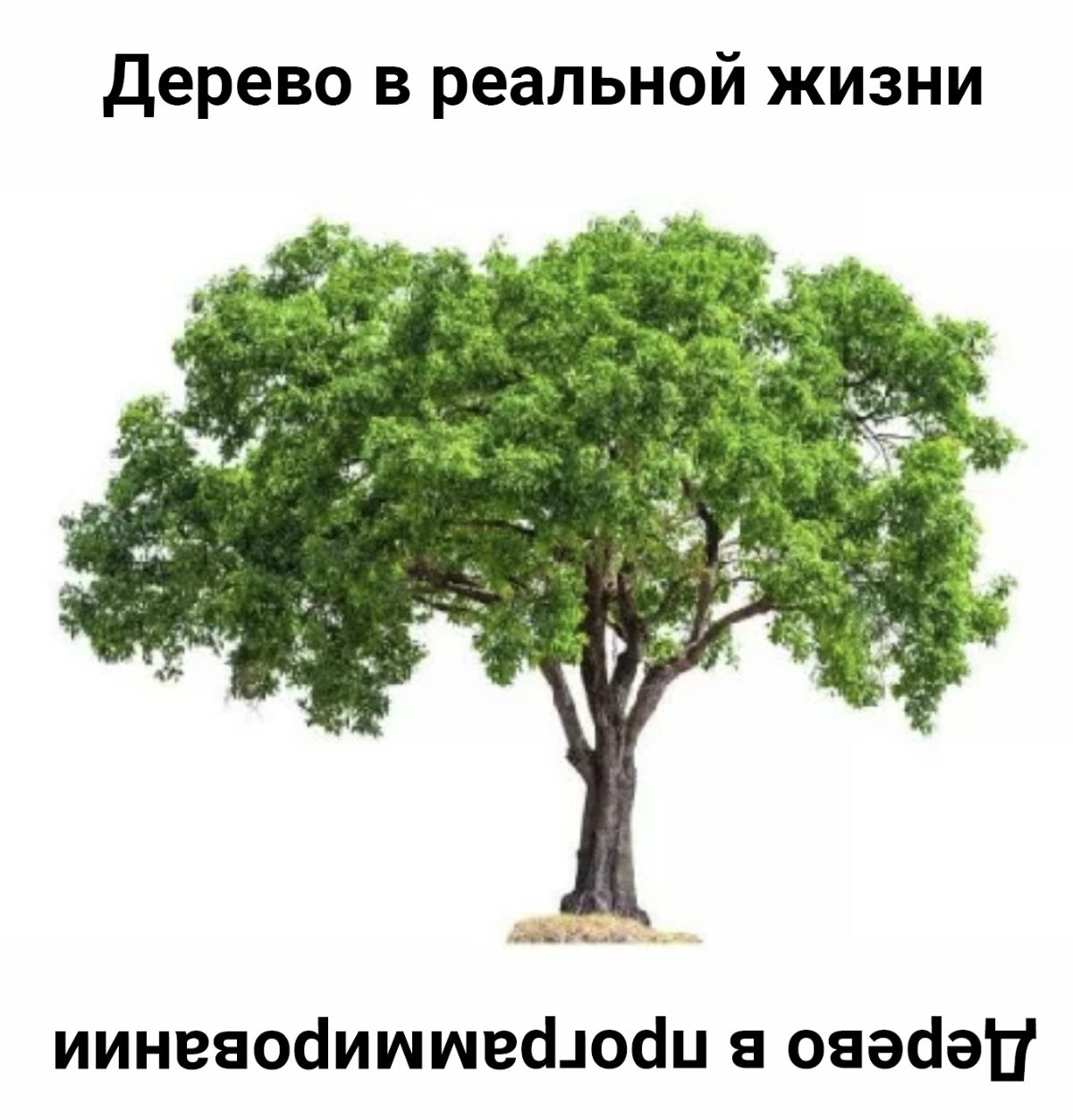 Мем #33 | Сетка — новая социальная сеть от hh.ru