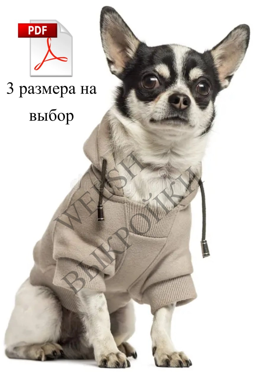 🧵 Выкройка худи разработана для собак породы чихуахуа, йоркширский терьер, шпиц, пудель | Сетка — новая социальная сеть от hh.ru