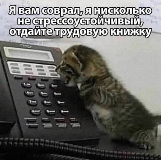 Сетка — новая социальная сеть от hh.ru