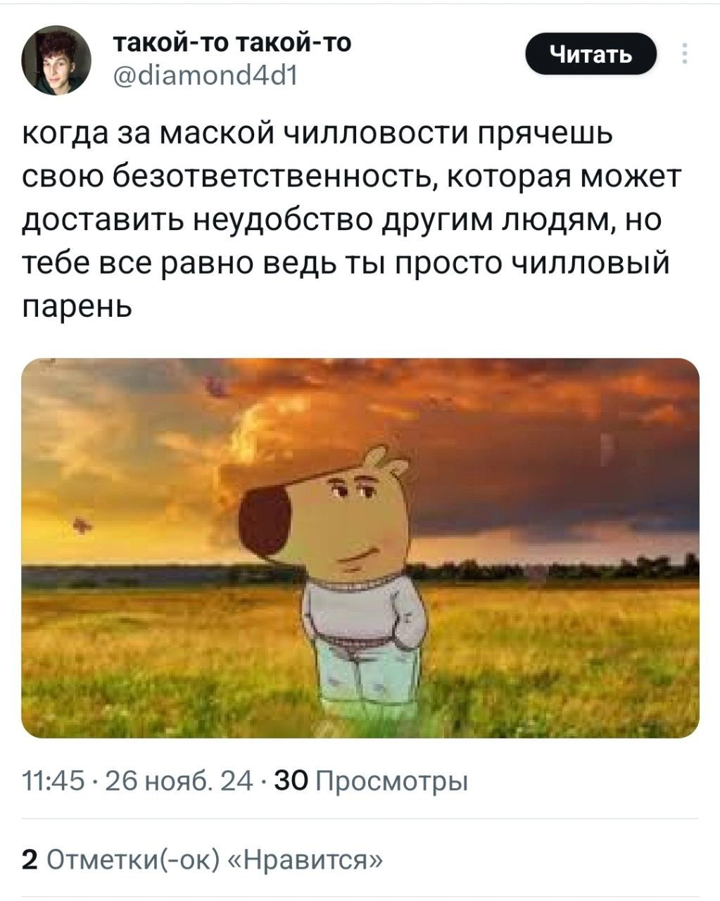 Чилловый парень — мем, которого нам всем не хватало. В соцсетях сейчас на хайпе пёс, олицетворяющий спокойствие и безмятежность в любых ситуациях | Сетка — новая социальная сеть от hh.ru