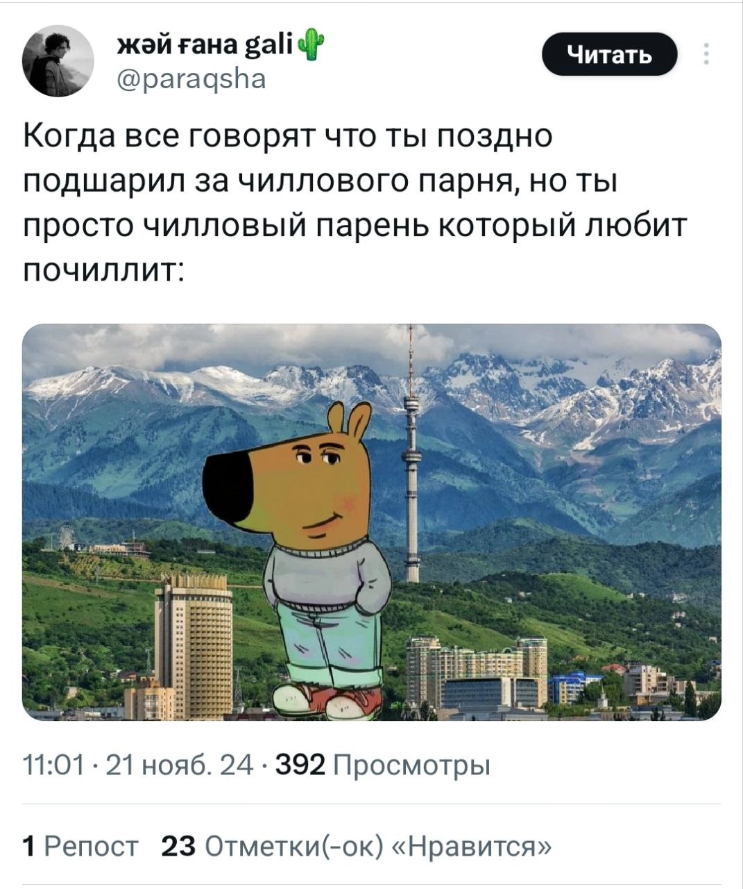 Чилловый парень — мем, которого нам всем не хватало. В соцсетях сейчас на хайпе пёс, олицетворяющий спокойствие и безмятежность в любых ситуациях | Сетка — новая социальная сеть от hh.ru