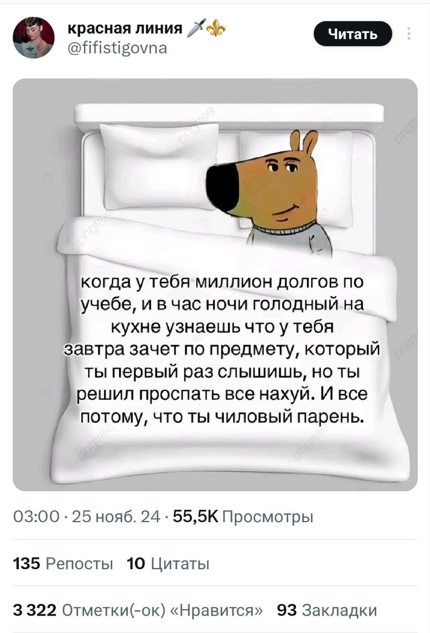 Чилловый парень — мем, которого нам всем не хватало. В соцсетях сейчас на хайпе пёс, олицетворяющий спокойствие и безмятежность в любых ситуациях | Сетка — новая социальная сеть от hh.ru