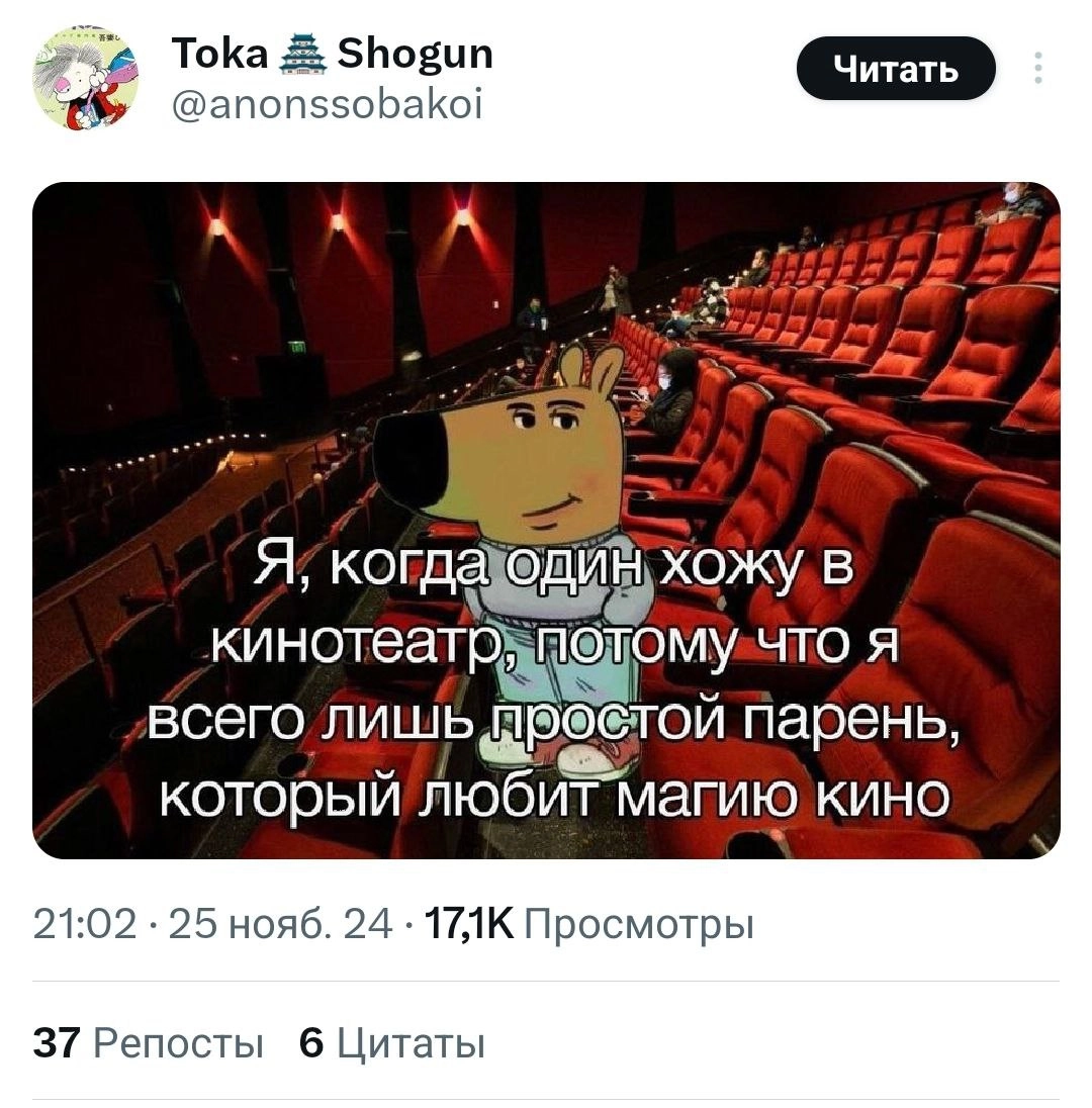 Чилловый парень — мем, которого нам всем не хватало. В соцсетях сейчас на хайпе пёс, олицетворяющий спокойствие и безмятежность в любых ситуациях | Сетка — новая социальная сеть от hh.ru