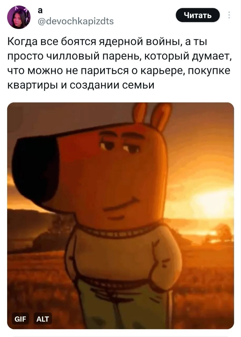 Чилловый парень — мем, которого нам всем не хватало. В соцсетях сейчас на хайпе пёс, олицетворяющий спокойствие и безмятежность в любых ситуациях | Сетка — новая социальная сеть от hh.ru