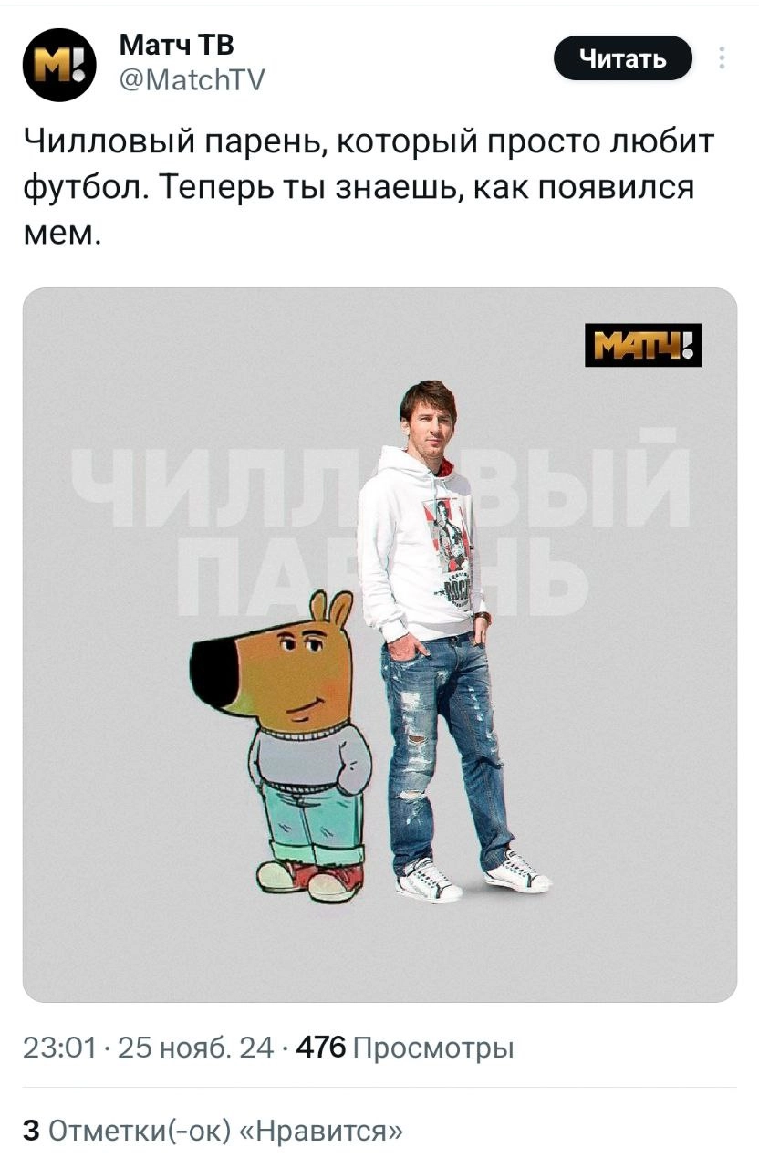 Чилловый парень — мем, которого нам всем не хватало. В соцсетях сейчас на хайпе пёс, олицетворяющий спокойствие и безмятежность в любых ситуациях | Сетка — новая социальная сеть от hh.ru
