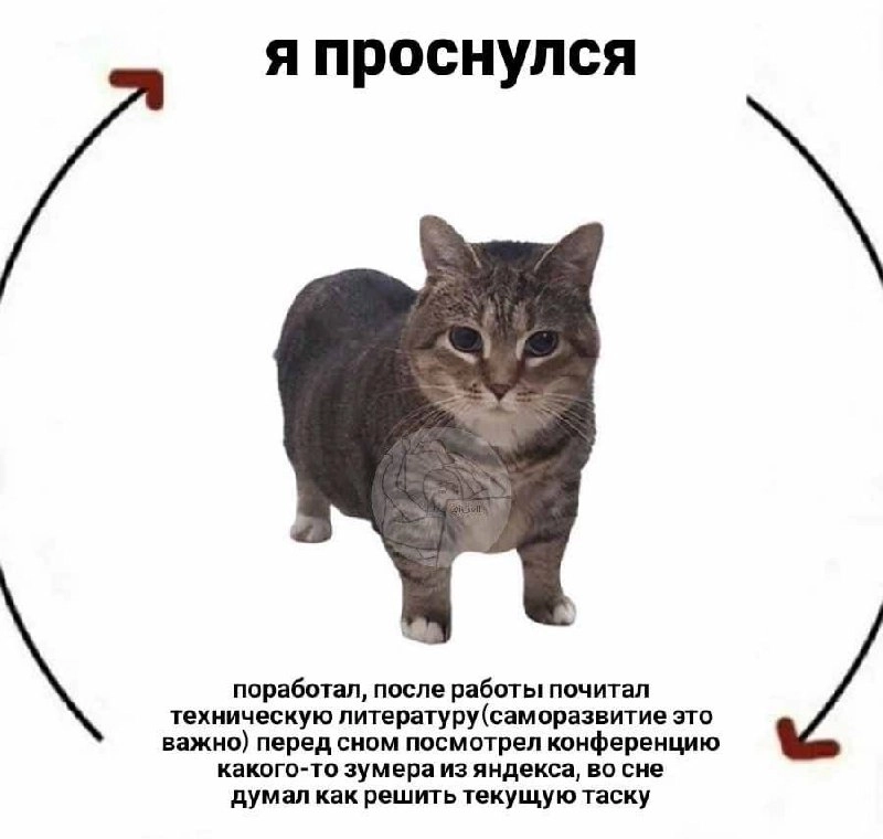 А спал ли вообще?
🚀@itaxaxa | Сетка — новая социальная сеть от hh.ru