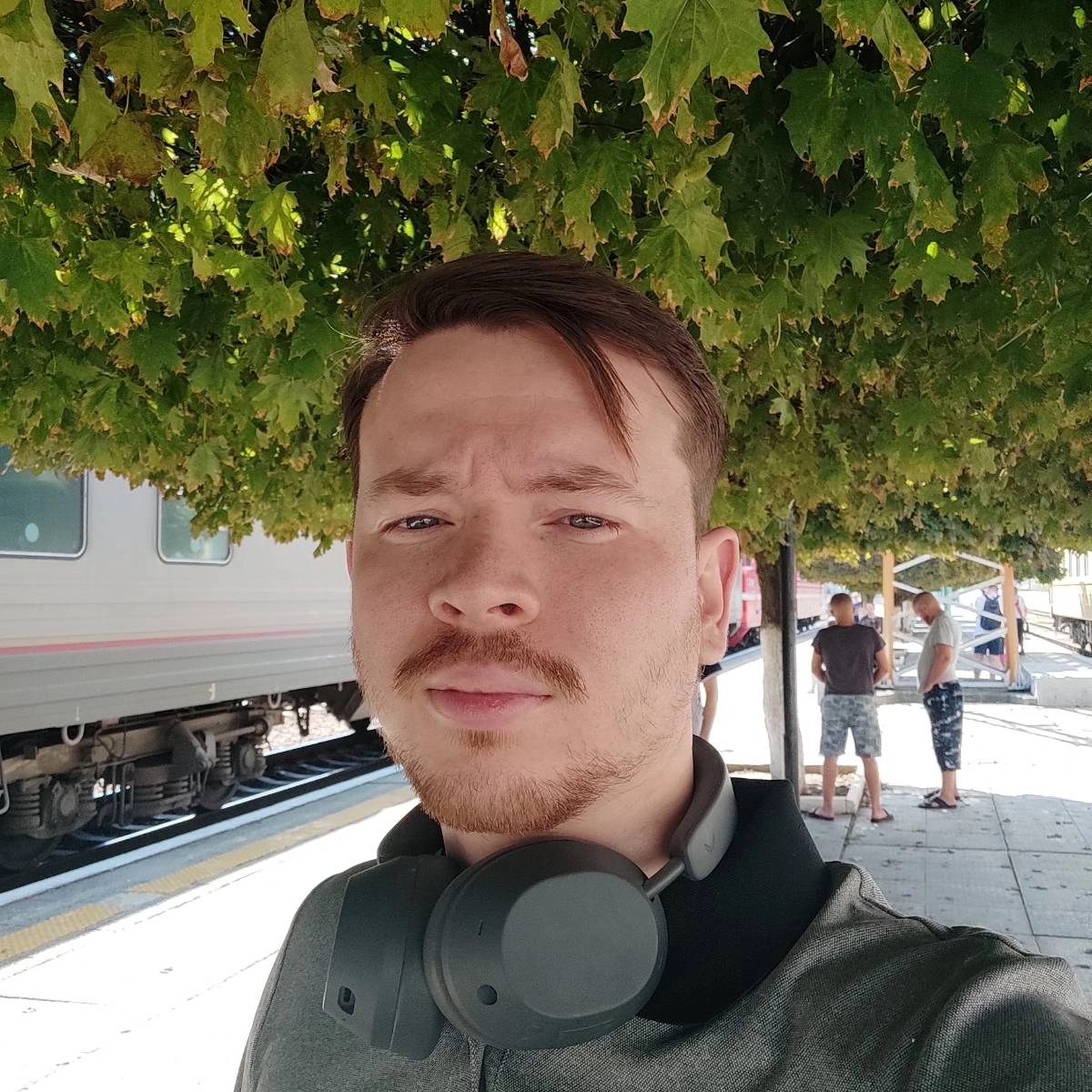 profile avatar