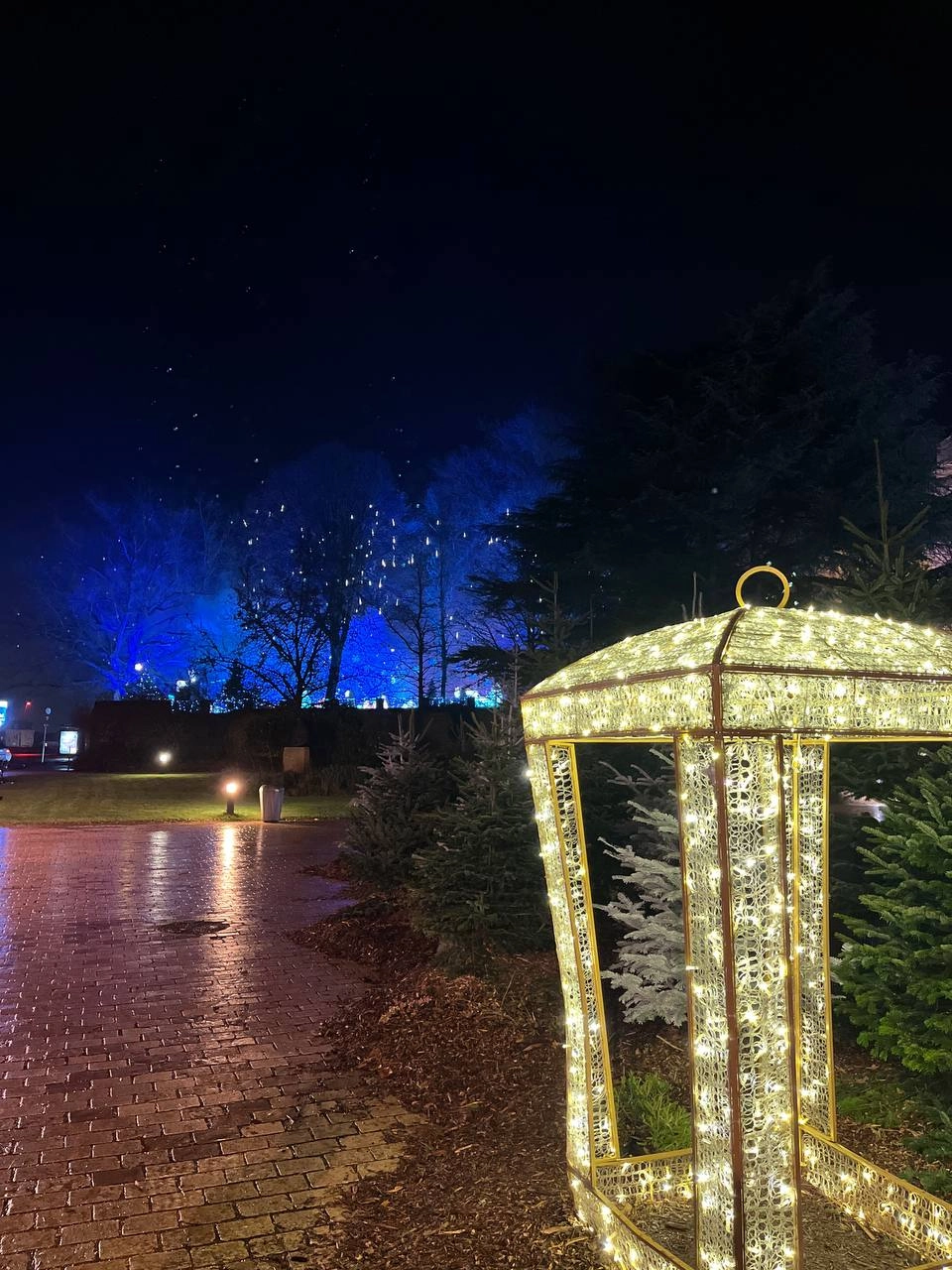 Доброе утро 🌞  
Немного рождественского колорита вам в ленту 🎄из Метц | Сетка — социальная сеть от hh.ru