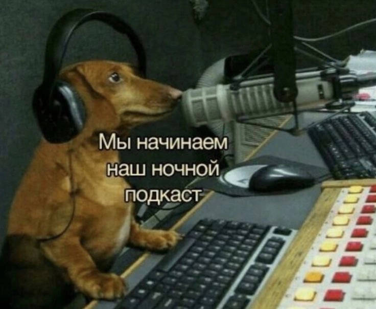 Учусь на тестировщика с помощью ChatGPT. Дни 4–9
Привет, дорогие, с вами Таня🦭
Я слегка пропала с радаров сетки — дела семейные отправили меня за полтысячи километров от дома и компа | Сетка — новая социальная сеть от hh.ru